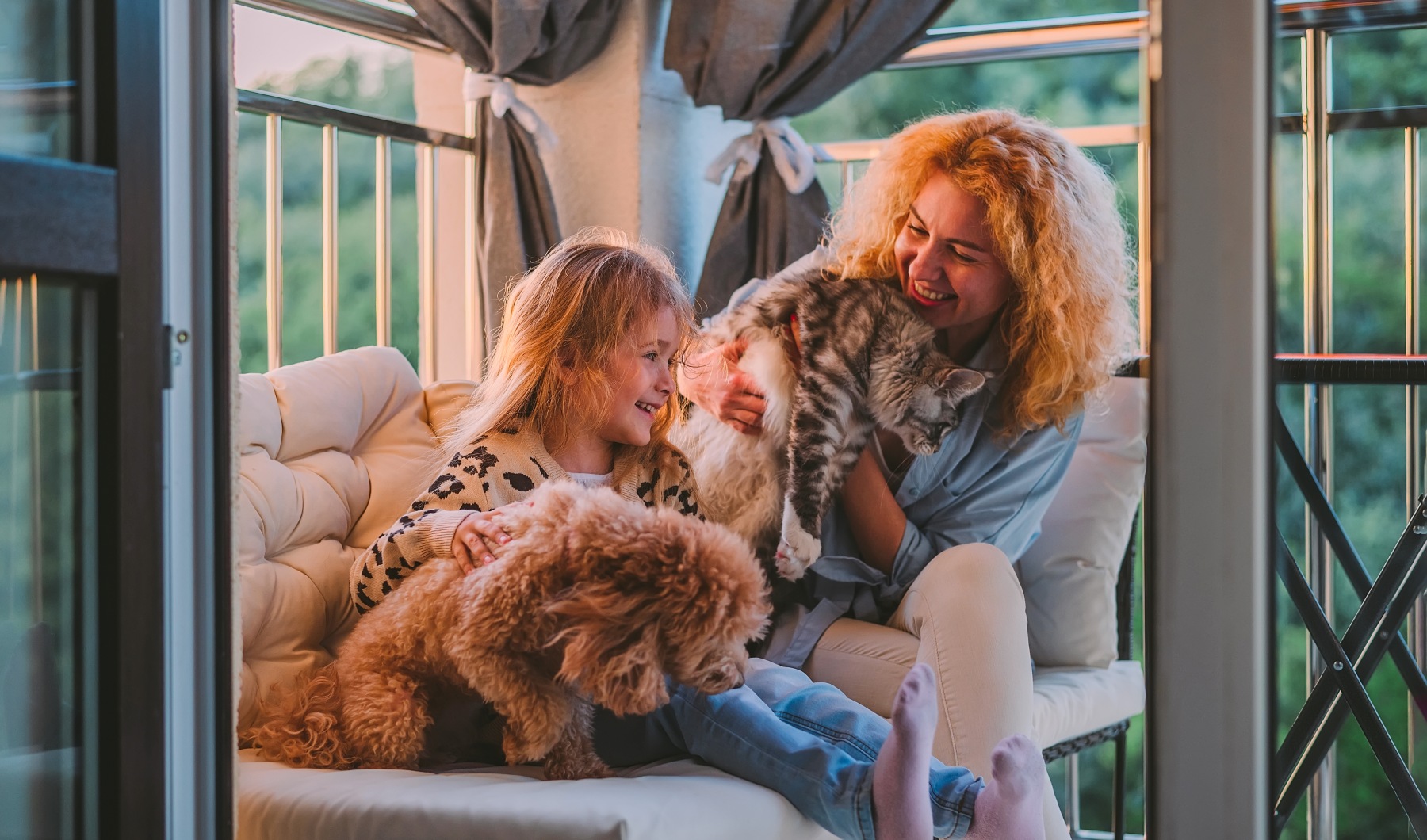Where Pets Feel Just as Welcome as You Do Where Pets Feel Just as Welcome as You Do