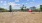 Pet Park 